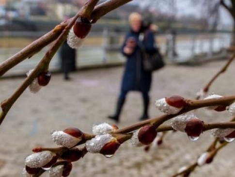 Прогноз погоди на березень 2024: коли настане справжня весна